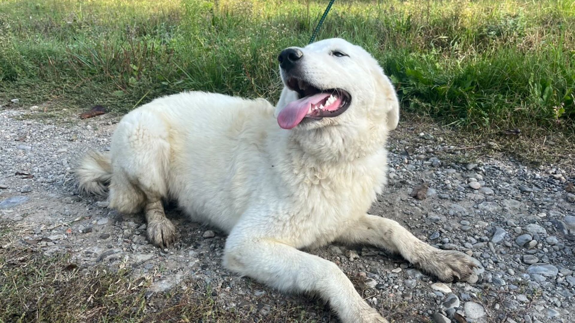 [Translate to English:] 