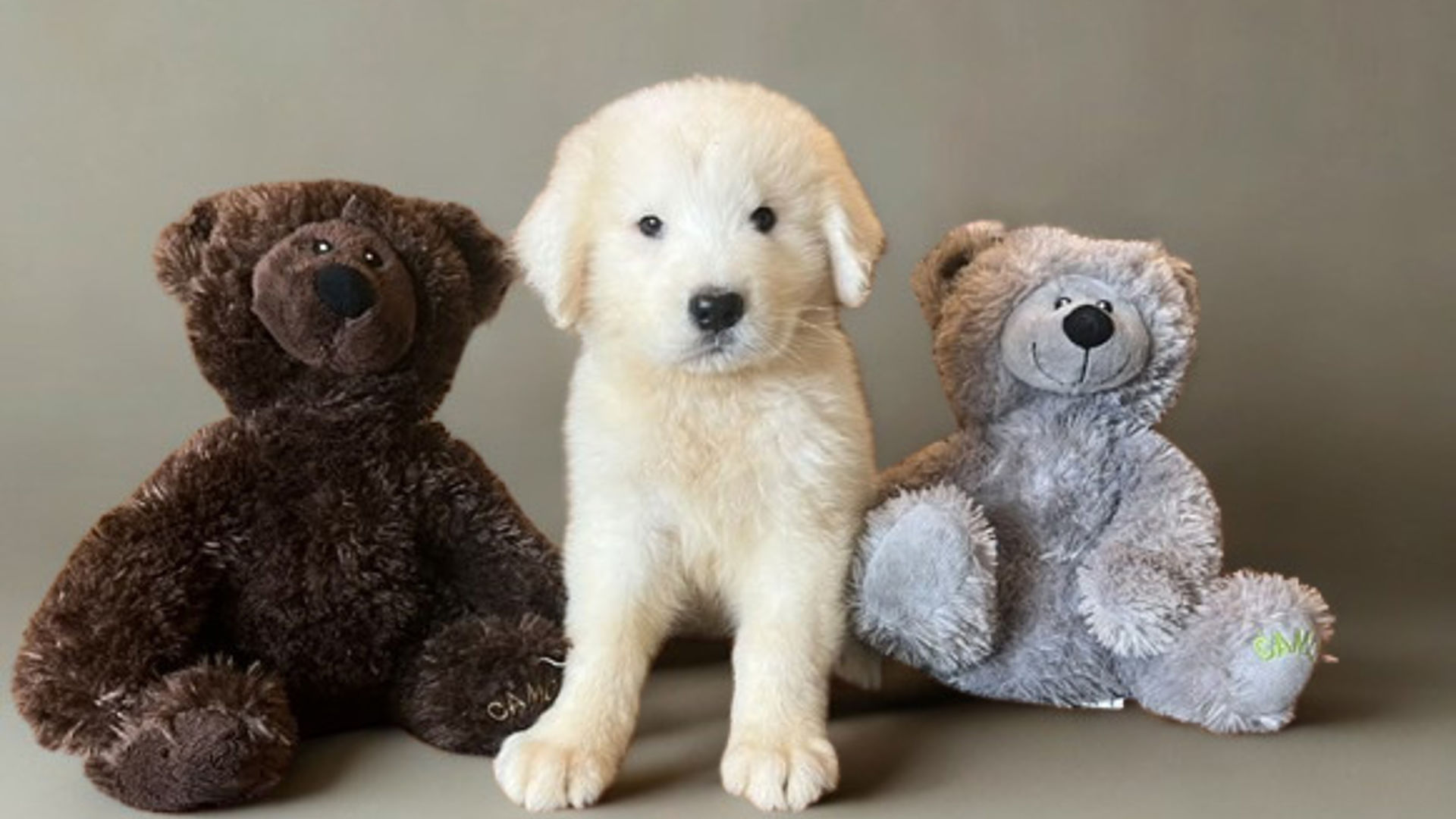 [Translate to English:] 